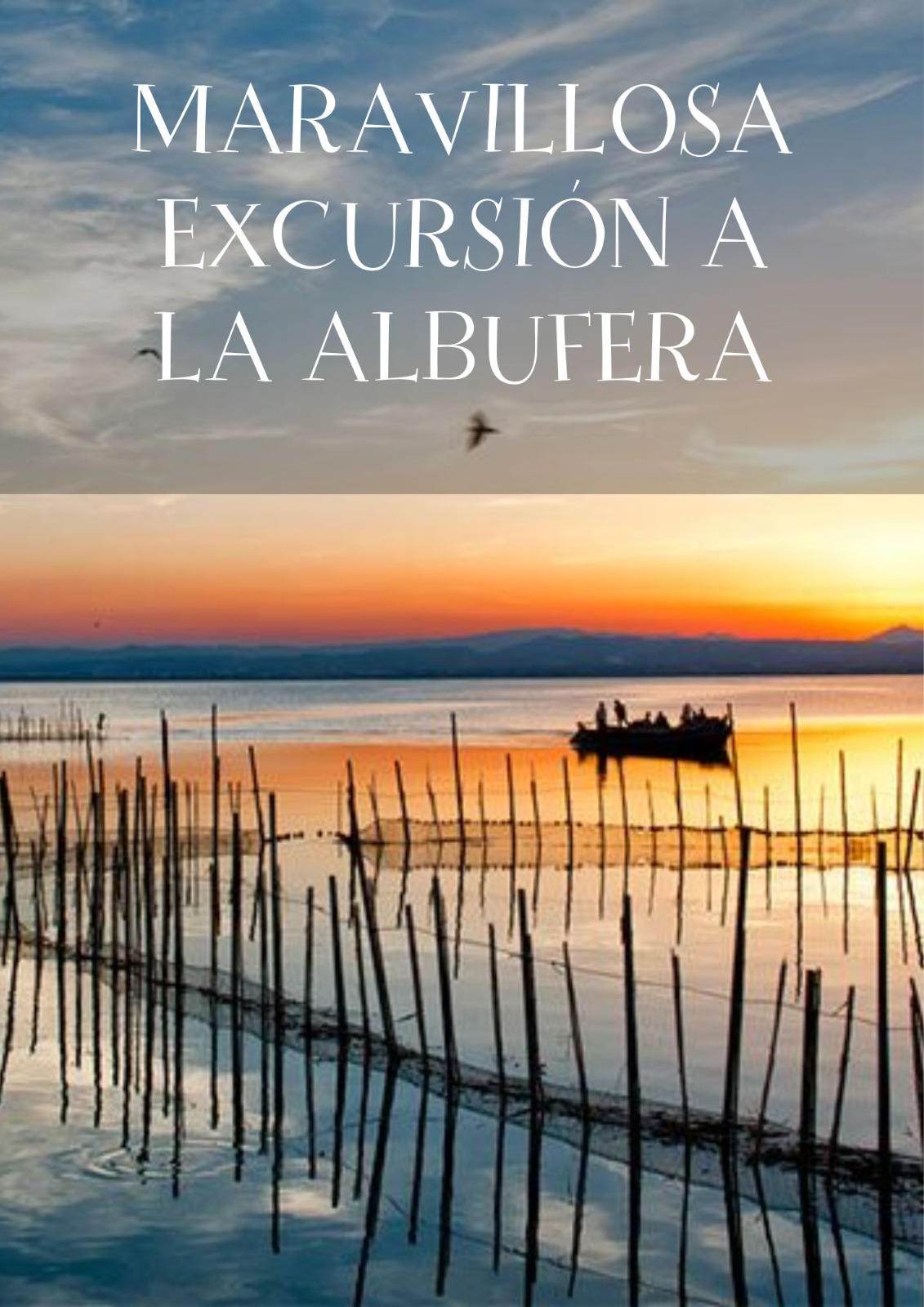 Excursión a la albufera